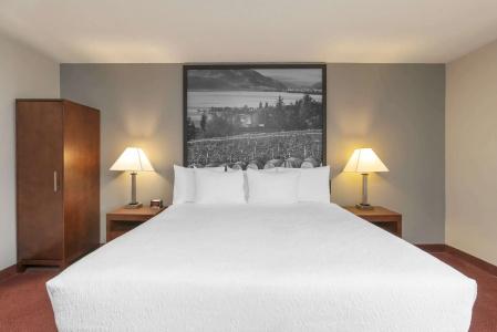 Quality Inn & Suites - 5
