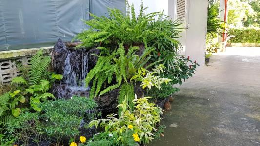 Sukwimol Place - 10