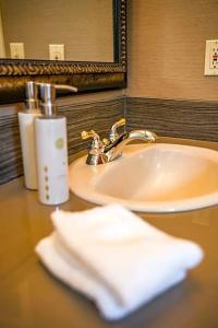 Pine Ridge Inn - 55