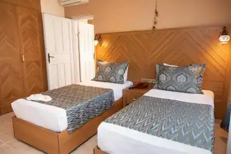 Portakal Dalyan - 43
