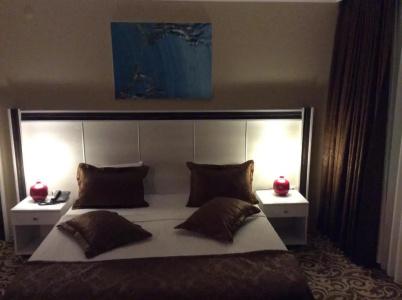 Atamer Doga Resort - 53