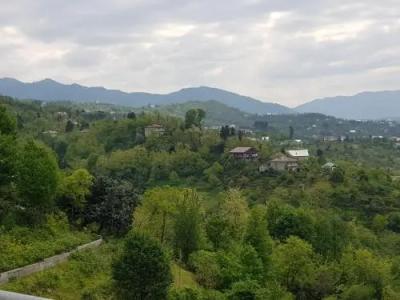 Зеленый мыс - 14