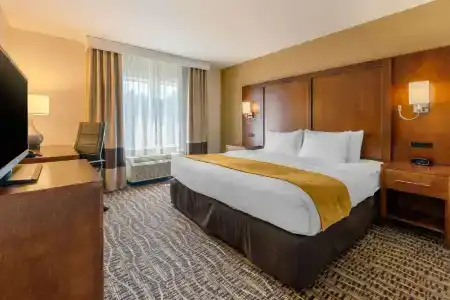 Comfort Suites - 65