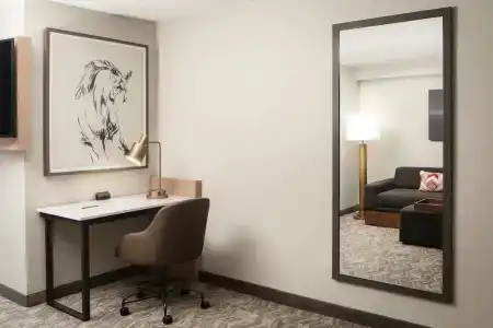 SpringHill Suites by Marriott Dallas Downtown / West End - 41