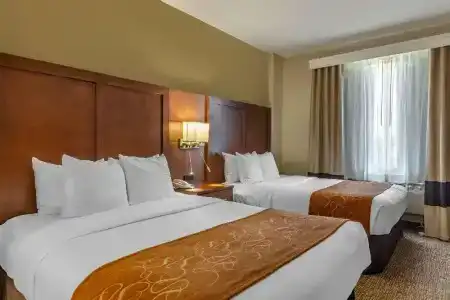 Comfort Suites Walnut Creek - 47