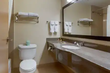 Best Western Plus Inn & Suites - 8