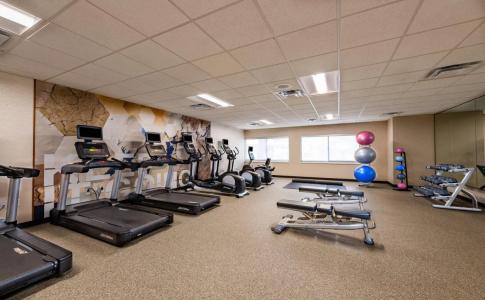 Springhill Suites Houston Medical Center / Nrg Park - 9