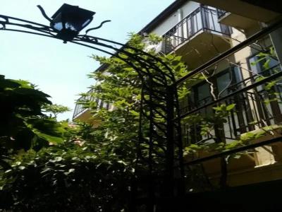 Suayai Guesthouse - 2