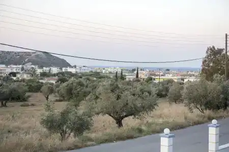 Nephele - 50