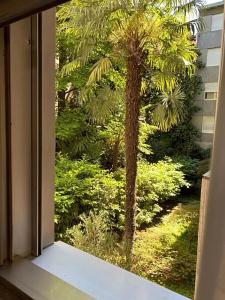 Due Giardini - 22