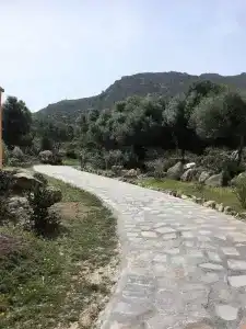 b&b Su Donnigheddu - 7