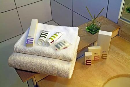 Mercure Albi Bastides - 26