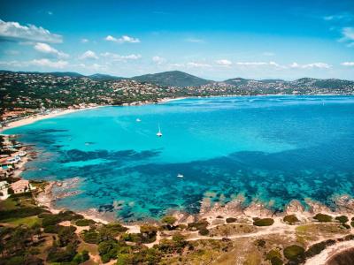 Les Palmiers - 17