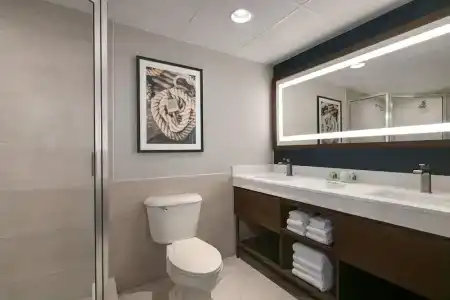 Holiday Inn & Suites, An Ihg - 54