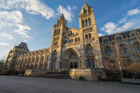 Oxford - 0