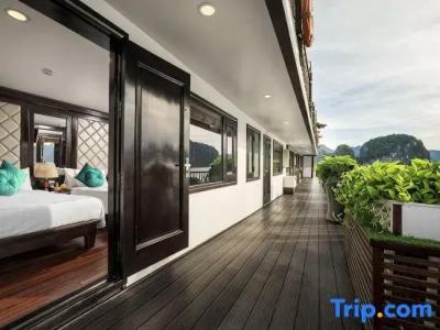 Alisa Premier Cruise - 62