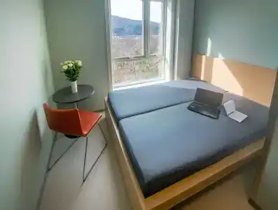 Bergen Montana - 0
