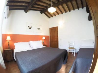 Agriturismo Boschi di Montecalvi - 103