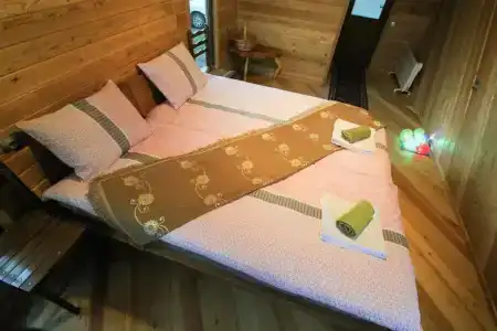 Level - 77