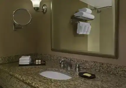 Sheraton Houston Brookhollow - 3