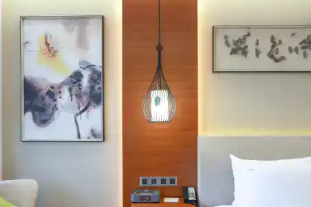 Holiday Inn Nanjing Xuanwu Lake, An Ihg - 33