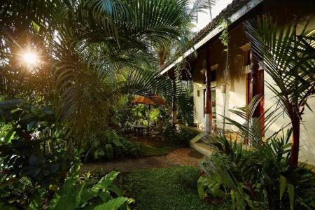 Eraeliya Villas & Gardens - 201