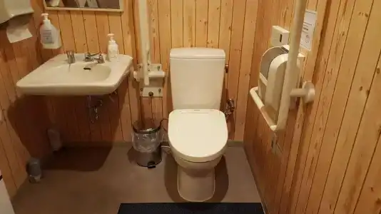 Dormy Inn Akihabara - 8