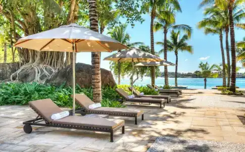 The Westin Turtle Bay & Spa - 35