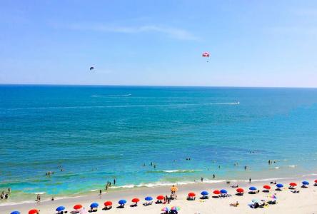 Coral Beach - 25
