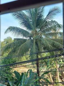 Ngoc Chau Phu Quoc - 11