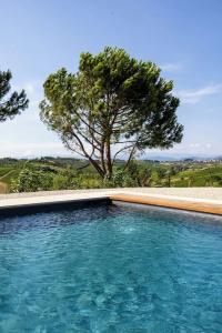 Tenuta Di Colle Alberti - 16