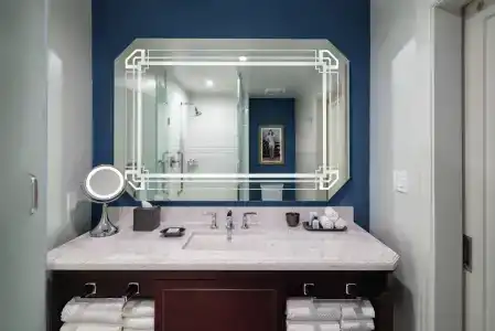 The Higgins New Orleans, Curio Collection By Hilton - 20