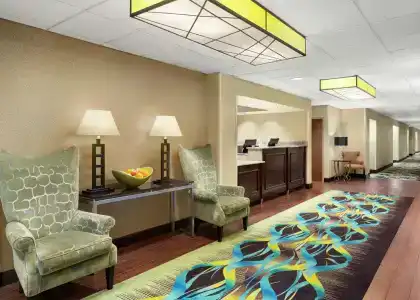 Hampton Inn Dallas-Irving-Las Colinas - 52