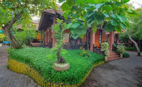 Betel Garden - 119
