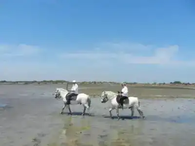 Hôtel Mas de la Grenouillère - 18