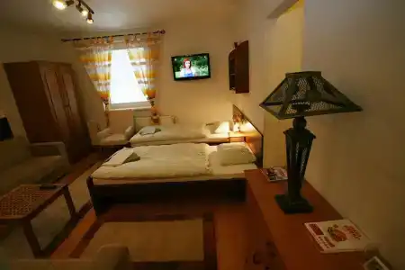 Apart Villas Ivica - 165