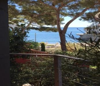 Le Jardin d'Emile - 72
