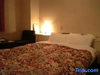 Albergo - 11