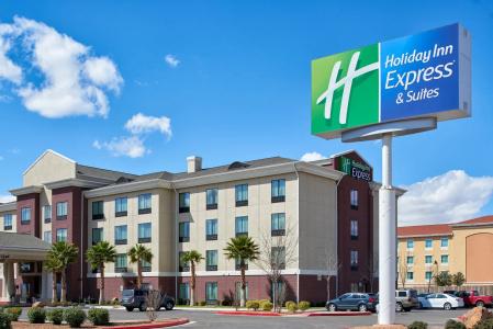 Holiday Inn Express & Suites Airport, An Ihg - 21