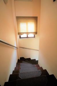 Sunlight - 13