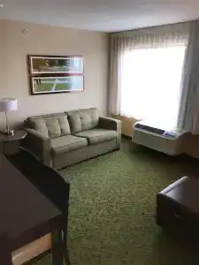 TownePlace Suites by Marriott South/Hamburg Place - 3