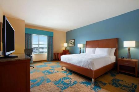 Hilton Garden Inn/Bricktown - 37