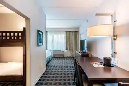 TownePlace Suites by Marriott Orlando at SeaWorld - 47