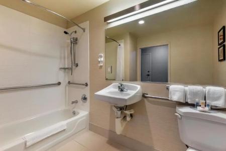 Comfort Inn & Suites North Dallas-Addison - 34
