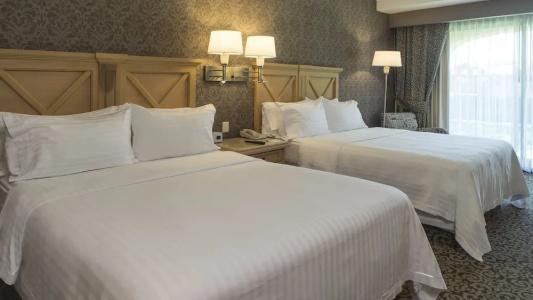 Holiday Inn Queretaro Centro Historico, An Ihg - 131