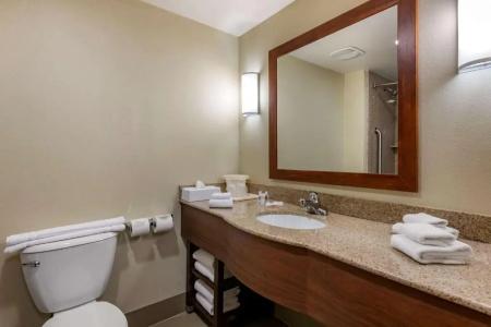 Comfort Suites Orlando Airport - 52
