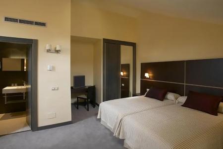 Palacio de los Blasones Suites - 6