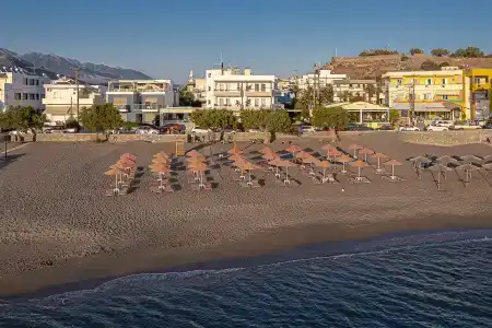 Pal Beach - 16