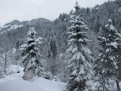 Albe - 8