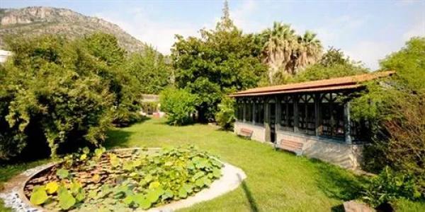 La Gallina Felice b&b - 1